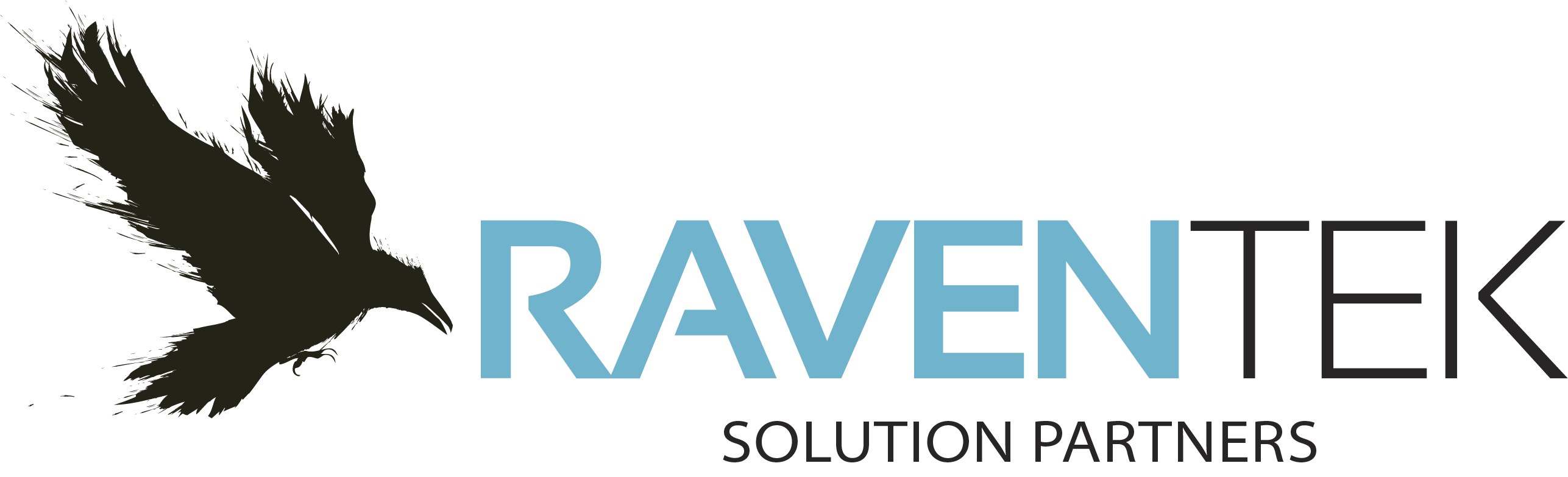 Raventek Solution Partners