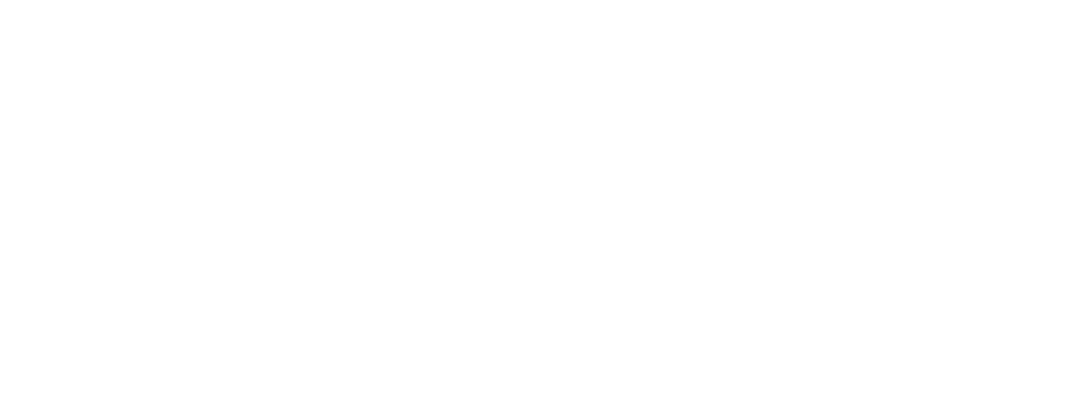 PLZ, Corp