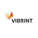 Vibrint