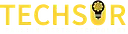 TechSur Solutions