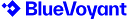 BlueVoyant